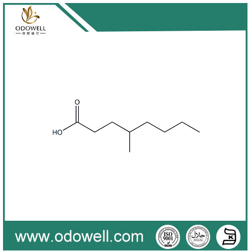 --Methyloctanoic एसिड