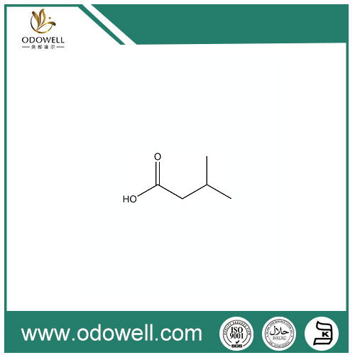 Isovaleric एसिड