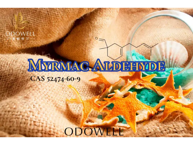 Myrmac Aldehyde - ODOWELL को ओजोनिक समुद्री एल्डिहाइड ताजा बाहिरी सुगन्धका लागि