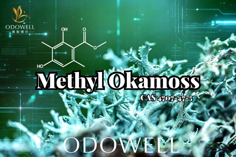ODOWELL प्रस्तुत गर्दछ मिथाइल ओकामोस: Chypre र Fougère Mastery को लागी प्रामाणिक सिंथेटिक Oakmoss