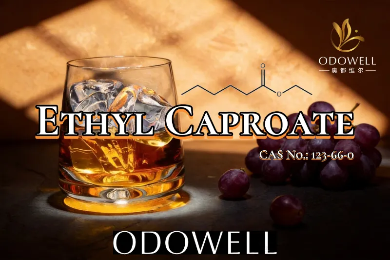 ODOWELL फलफूल र वाइन-जस्तै स्वाद अनुप्रयोगहरूको लागि इथाइल क्याप्रोएट सिफारिस गर्दछ।