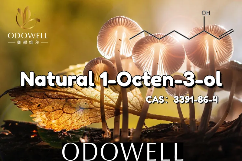 ODOWELL मशरूम-जस्तै र मार्थी स्वाद अनुप्रयोगहरूको लागि प्राकृतिक 1-Octen-3-ol सिफारिस गर्दछ।