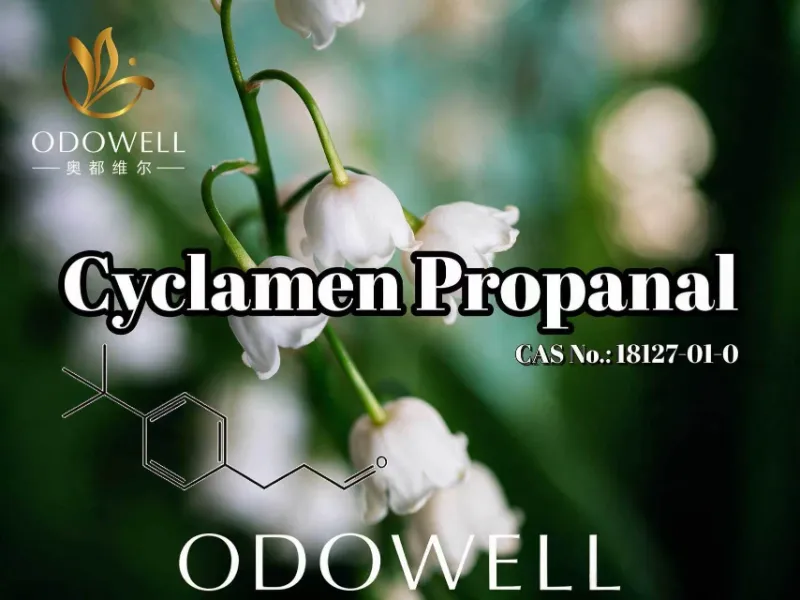 ODOWELL ले फ्रेश फ्लोरल र मुगुट फ्रेग्रेन्स एप्लिकेसनहरूको लागि साइक्लेमेन प्रोपेनल सिफारिस गर्दछ।