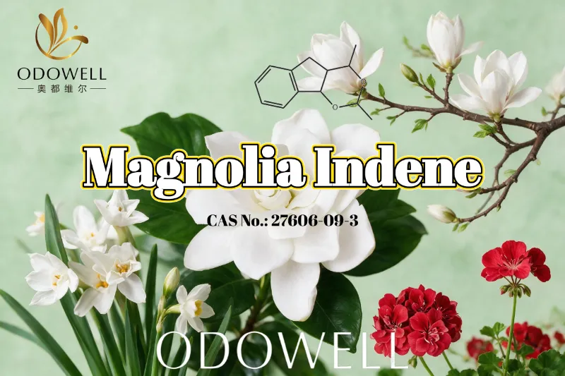 ODOWELL ले ताजा फ्लोरल-ग्रीन र सिट्रसी सुगन्ध अनुप्रयोगहरूको लागि Magnolia Indene सिफारिस गर्नुभयो।